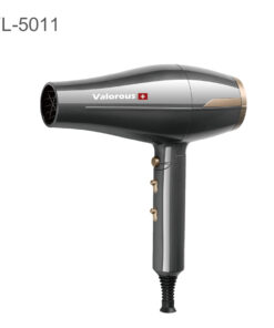 Valorous Digital Salon Hair Dryer, Model VL-5011